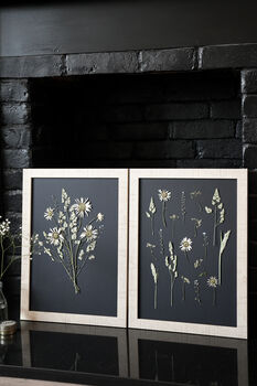 Daisy Haze Botanical Wall Art – A3 Pressed Flower Frame In Sand, 6 of 7