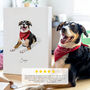 Pet Portrait Gift Hand Drawn Illustration, thumbnail 9 of 11