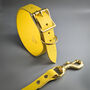 Yellow Leather Whippet Collar And Matching Lead Set, thumbnail 1 of 12