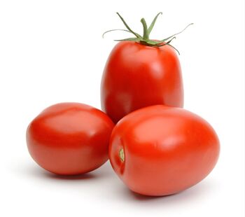 Heritage Tomato San Marzano One X 9cm Pot, 5 of 5