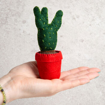Easy Care Cactus Felt Craft Kit, 7 of 10