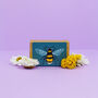 The Little Book Of Bees And Bee Wildflower Seedball Box, thumbnail 5 of 11