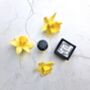 Narcissus Daffodil – Enfeurage Pomade Solid Perfume, thumbnail 1 of 6