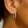 Small Hula Hoop Earrings, thumbnail 2 of 5