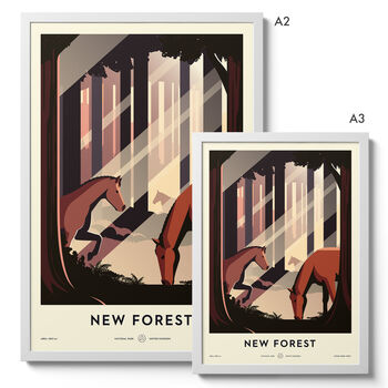 New Forest National Park Print, 7 of 11