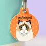 Personalised Cat Breed Name Tag, thumbnail 11 of 12