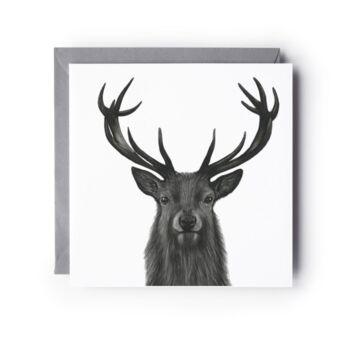 Great Stag Wildlife Greeting Card, 2 of 5