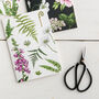 Botanical Foxglove And Ferns Botanical Card, thumbnail 1 of 2