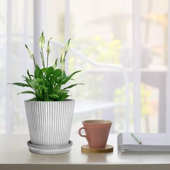Pack Of Two Stripe Cement Plant Pot With Saucer, 2 of 7