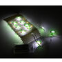 Christmas Holly Battery LED String Lights, thumbnail 3 of 3