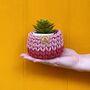 Tutti Frutti Tiny Crochet Basket, thumbnail 2 of 6