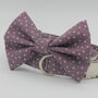 Purple Star Dog Bow Tie, thumbnail 1 of 8