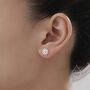 Daisy Flower Stud Earrings In Sterling Silver, thumbnail 3 of 11