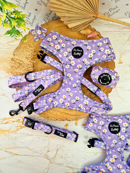 Lucky Little Lavender Daisies Dog Harness, 3 of 3