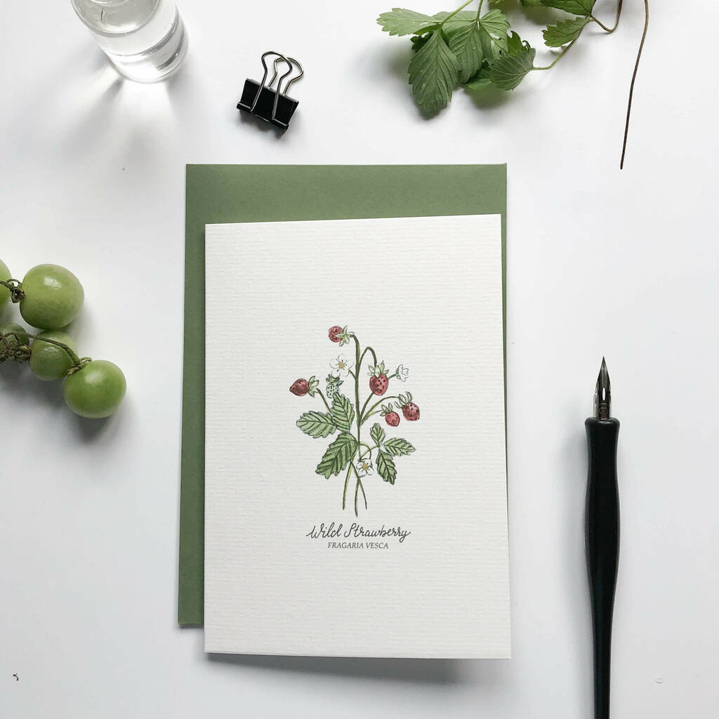Botanical Wildflowers Hand Illustrated Notecard Set, 1 of 7