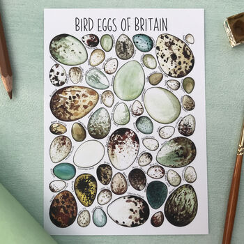 Wildlife Of Britain Illustrated Postcard Pack Of Twelve, 12 of 12