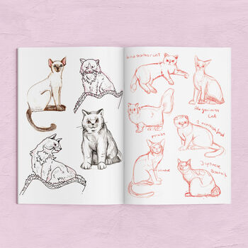 Cats Sketchbook Zines, 6 of 7