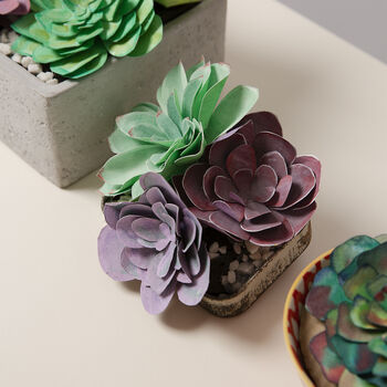 Paper Succulent Making Kit, 3 of 12
