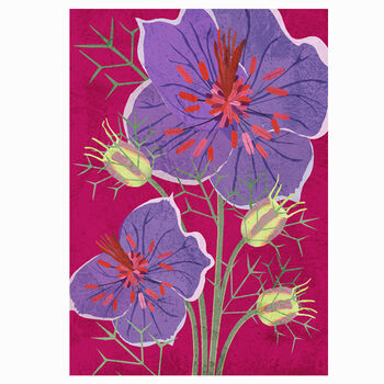 Nigella Love In The Mist Flower Greeting Card, British Flower, Illustrated, Textured, Sustainable, Deep Pink Background, 2 of 2