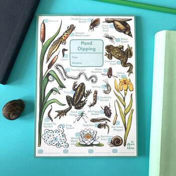 Pond Dipping Journal Notepad, 3 of 11
