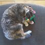 Catnip Cat Mouse Toy, thumbnail 2 of 12
