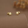 Sterling Silver Cute Sun 18 G Screw Back Stud Earrings With Ball Backs, thumbnail 3 of 11