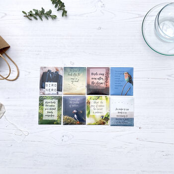 Bird Lover Gifts: Tea Gift Set For Bird Watchers, 11 of 12