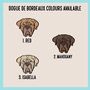 Dogue De Bordeaux ID Tag, thumbnail 4 of 5