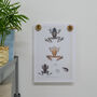 Personalised Oak Magnetic Picture Hanging Dots, thumbnail 3 of 8