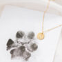Mardy Custom Paw Print Necklace, thumbnail 9 of 11