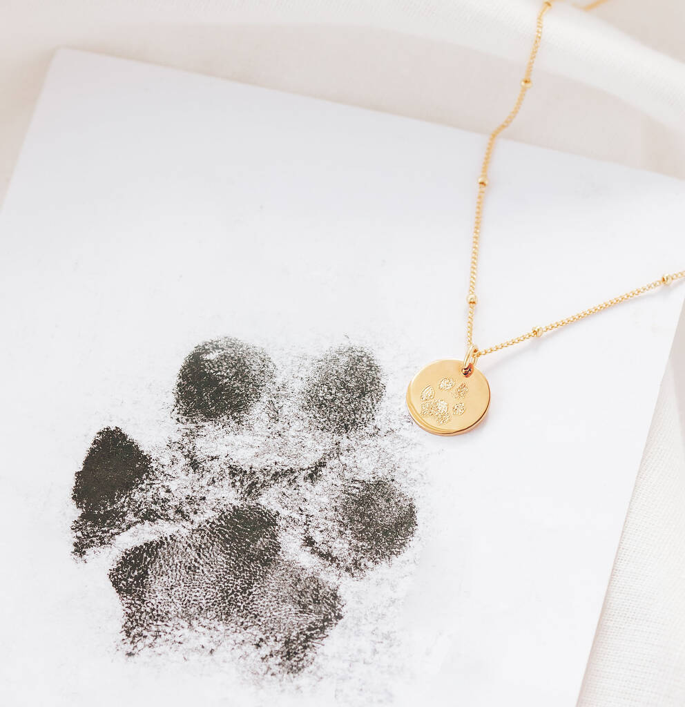 Personalised Pet Paw Print and Name Necklace | Button and Bean