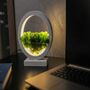 Round Wood Table Lamp With Preserved Moss, thumbnail 12 of 12