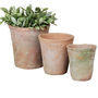 Set Of Terracotta Plant Pots, thumbnail 2 of 4