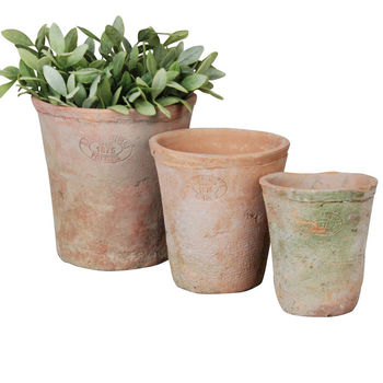 Set Of Terracotta Plant Pots, 2 of 4