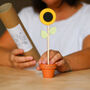 Wooden Flower Stem With Personalised Terracotta Pot, thumbnail 6 of 7