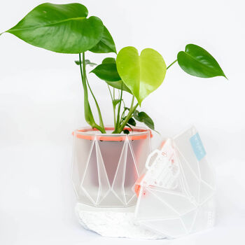 Origami Self Watering Eco Plant Pot: 15cm | Coral Cord, 6 of 6