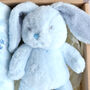 Bunny And Blanket Snuggle Gift Set For Boys, thumbnail 3 of 5