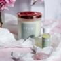 Aromatherapy Candle Making Kit Detox Blend, thumbnail 3 of 4