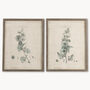 Brookby Set Of Two Framed Lavatera Wall Art, thumbnail 1 of 3