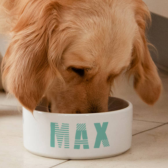 Personalised Name Ceramic Dog Bowl By Dust and Things