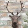 Stag Bust Wall Decoration, thumbnail 1 of 2