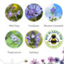 Love Bees Wildflower Seedball Garden Gift Set, thumbnail 9 of 10