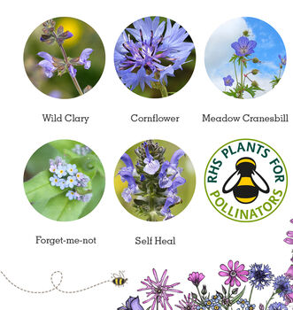 Love Bees Wildflower Seedball Garden Gift Set, 9 of 10