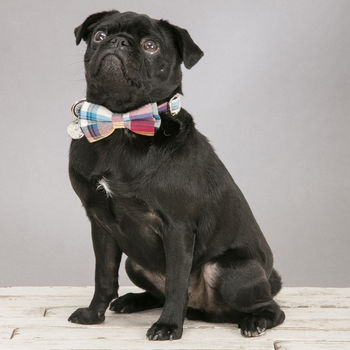 The Marple Red Checked Dog Collar Bow Tie, 5 of 5