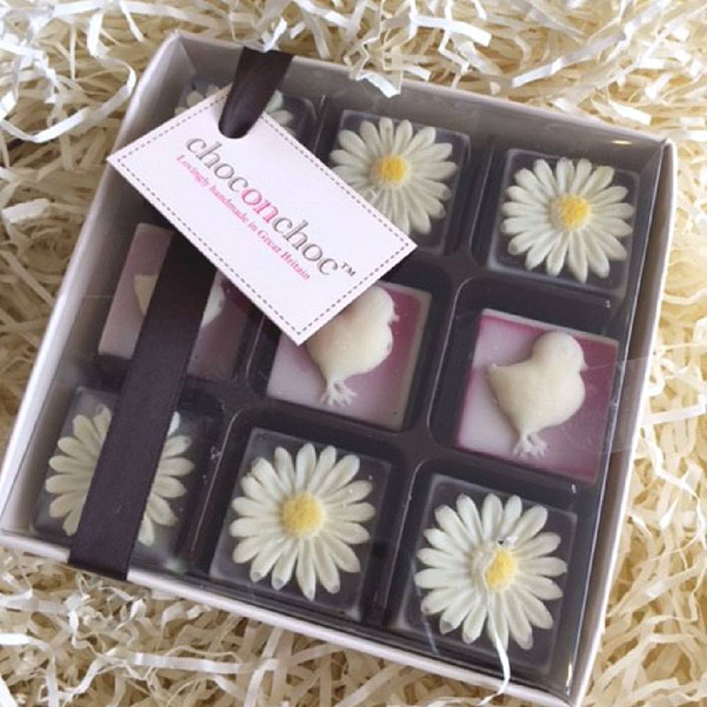 Chocolate Chicks And Daisies By Choc on Choc