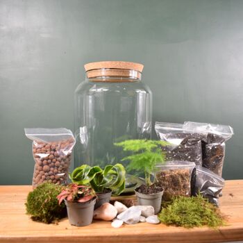 Large Diy Terrarium Kit With Plants Gift For Plant Lover Gift, 2 of 11