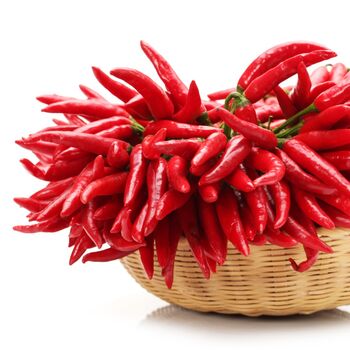 Chilli Pepper Plant Basket Of Fire 2x Plants 9cm Pots, 3 of 5