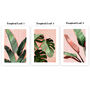 Tropical Leaf Prints Set Of Three, thumbnail 6 of 10