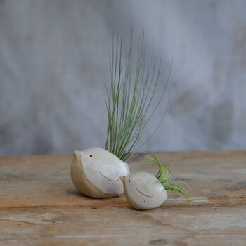 Bird Air Plant Holder In Off White, 7 of 12