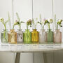 Little Lined Coloured Glass Bottle Vase Collection, thumbnail 2 of 7